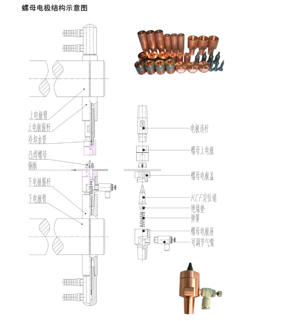 Diagramma schematico della struttura dell'elettrodo dado.